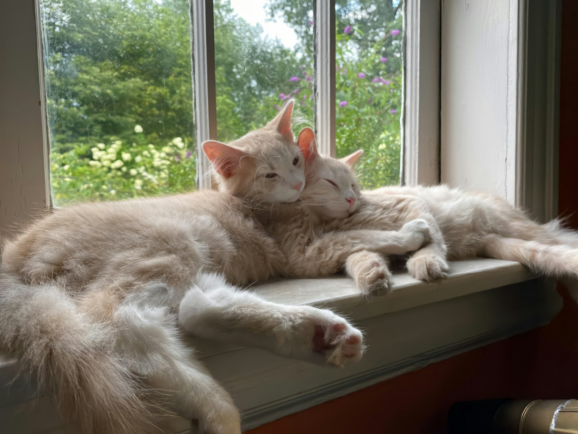 Tater and Tot